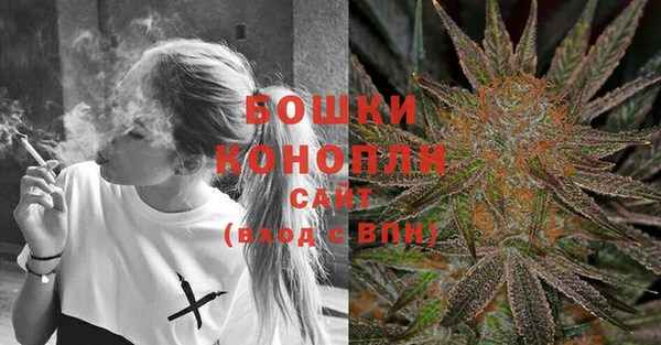 дживик Нея