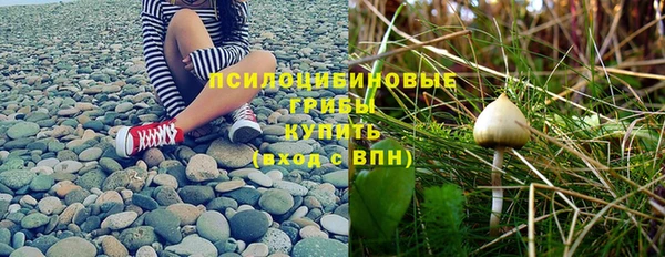 герыч Новокубанск