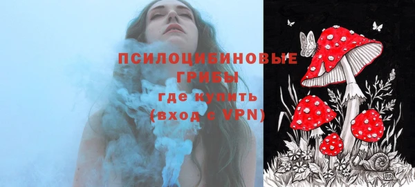 герыч Новозыбков