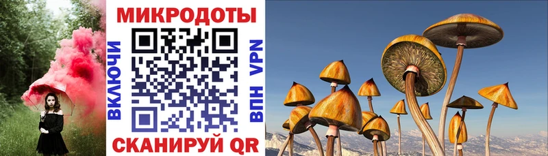 Галлюциногенные грибы ЛСД  Томск 
