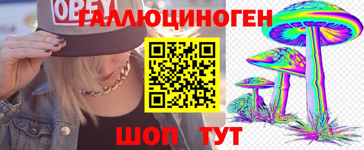 магазин    Псилоцибиновые грибы Magic Shrooms  Вход с VPN  Томск  Псилоцибиновые грибы Magic Shrooms 