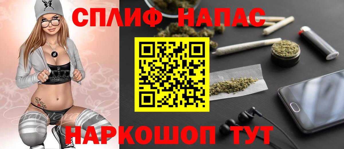 Каннабис сатива Томск